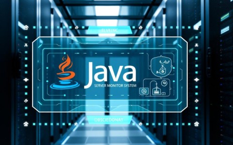Java开发服务器监控系统的关键功能是什么？如何实现高效开发？