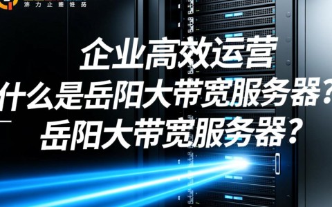 岳阳大带宽服务器为何在市场上备受关注？揭秘其独特优势！