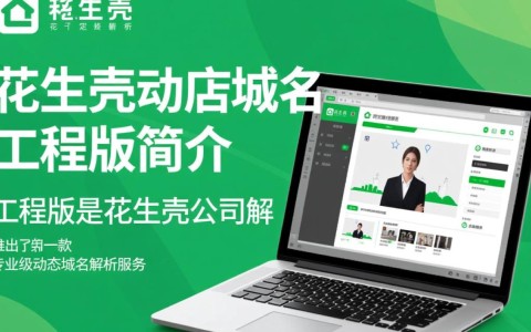 花生壳动态域名工程版，功能升级后，有哪些新变化或挑战？