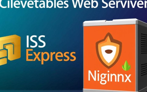 Nginx vs IIS Express，配置细节对比，哪个更胜一筹？