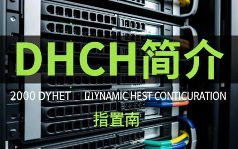 如何正确配置Server 2008 DHCP服务？遇到哪些常见问题及解决方法？