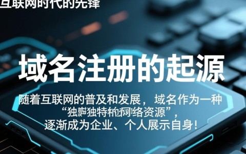 全球首个域名注册商，揭秘其创新历程与影响几何？