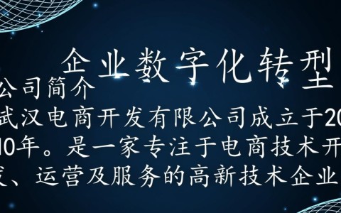 武汉电商开发有限公司，这家公司有何特色与优势，如何引领电商开发行业？
