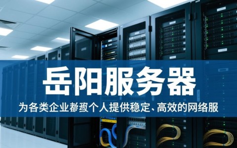 岳阳服务器与托管，如何选择最适合自己的方案？性价比与稳定性如何权衡？