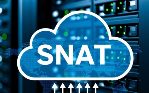 公网NAT网关中删除SNAT规则，具体操作步骤和注意事项是什么？