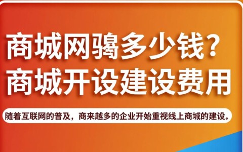 开发商城网究竟需要多少投资？成本与收益如何平衡？