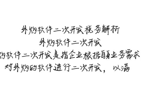 外购软件二次开发涉及哪些税务问题，具体税务处理方法是什么？