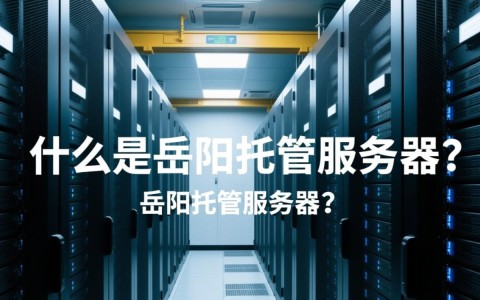 岳阳托管服务器哪家服务商性价比更高?如何选择最适合企业的托管方案?