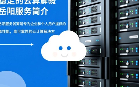 岳阳服务服务器，为何成为企业首选？揭秘其优势与潜力！