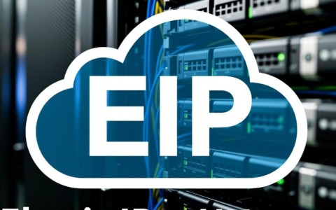 弹性公网IP API ListPublicips 功能，为何未详细说明操作步骤和参数要求？