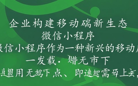 微信合作小程序开发公司，如何选择最佳合作伙伴？