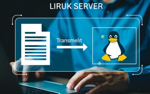 Linux服务器文件传输方法详解，哪种方式更高效？
