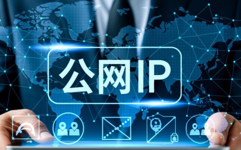 如何有效管理一个公网IP两个域名？避免冲突与优化访问体验？