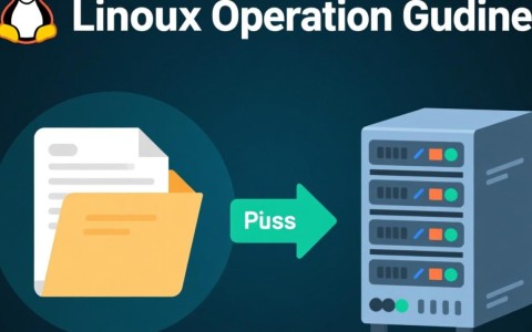 如何高效地将文件传送至Linux远程服务器？