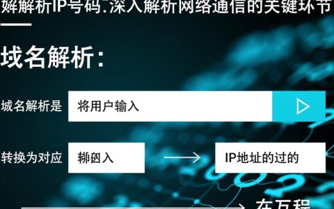 在域名解析过程中，如何准确指定IP地址与端口号？