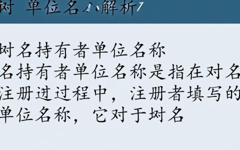 域名持有者单位名称的域名背后故事，揭秘其命名之谜？