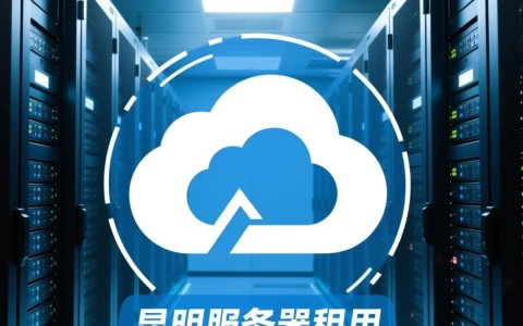 昆明服务器租用，性价比高吗？哪家服务商更值得信赖？