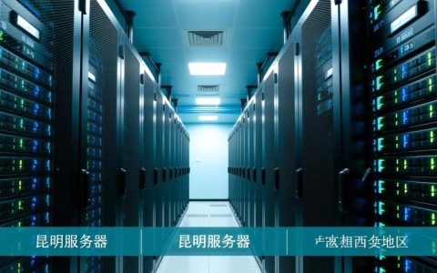 昆明服务器，为何如此受青睐？揭秘其独特优势与行业应用！