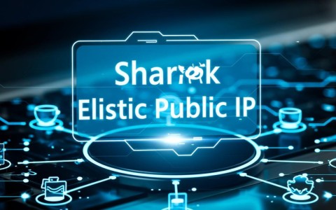 共享带宽如何高效插入弹性公网IP？带宽与弹性公网IP API应用解析？