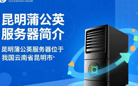 昆明蒲公英服务器,为何如此热门,背后有何秘密?