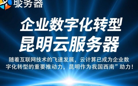 昆明云服务器如何满足企业高效需求？性价比与稳定性分析
