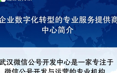 武汉微信公号开发中心，揭秘武汉微信公众号开发的奥秘与前景？