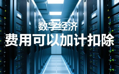 服务器费用加计扣除，需要满足哪些条件？