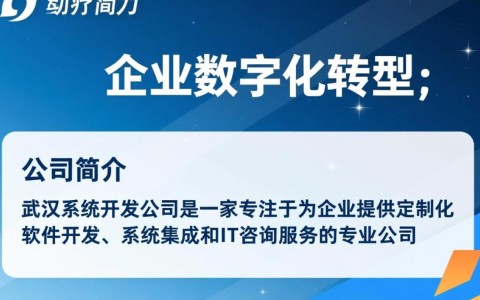 武汉系统开发公司企业，为何在市场上备受青睐？