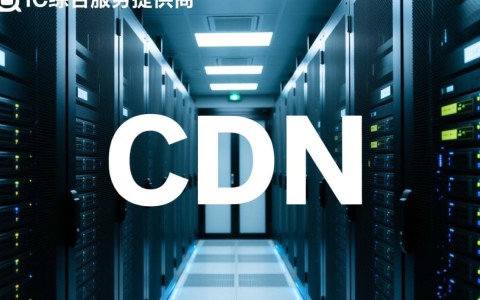 中国最大CDN及IDC服务提供商，其业务模式和发展前景如何？