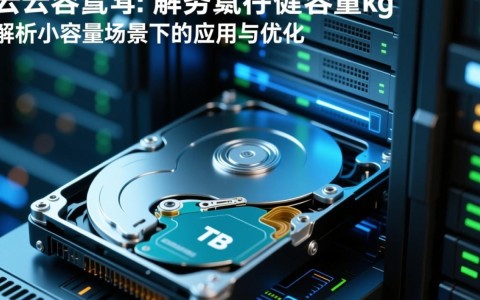 服务器超云硬盘总容量仅1G是什么原因？