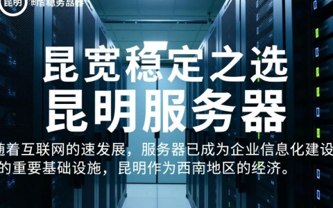 昆明服务器大带宽，性价比如何？值得投资吗？