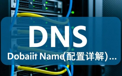 Linux中DNS配置的正确步骤是怎样的？如何确保网络连接顺畅？