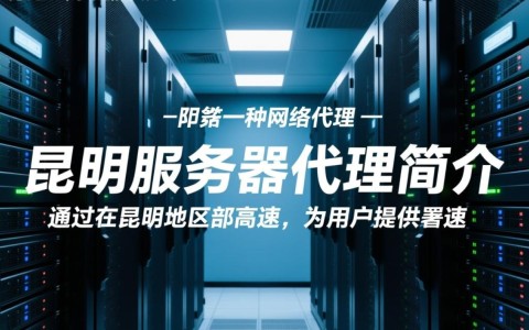 昆明服务器代理，哪家服务商性价比更高，如何选择最适合自己的代理服务？