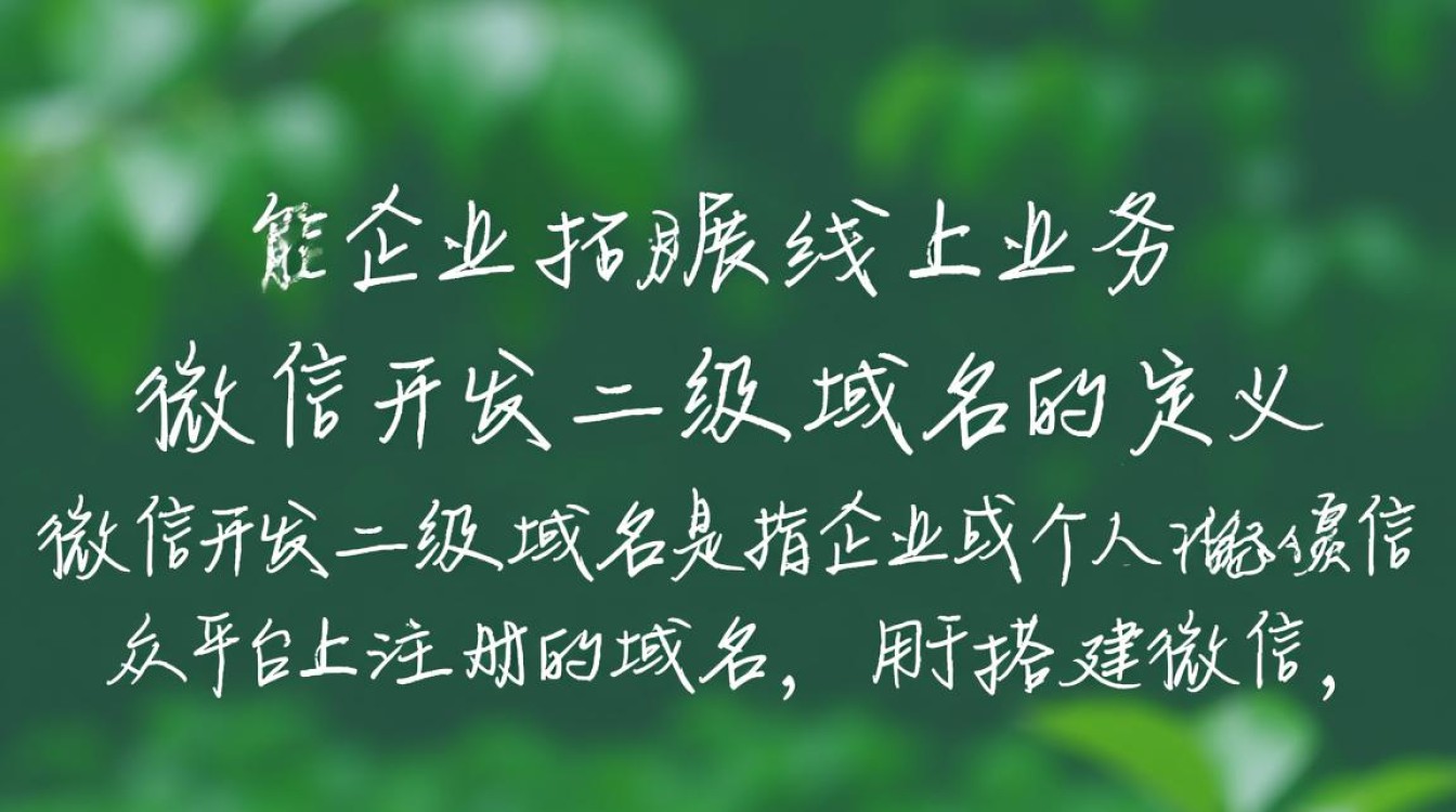 微信开发中二级域名的设置与使用有何技巧和注意事项？