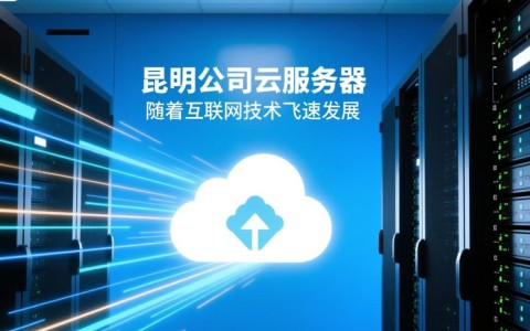昆明公司云服务器，哪种配置最适合我的业务需求？性价比高的方案有哪些？