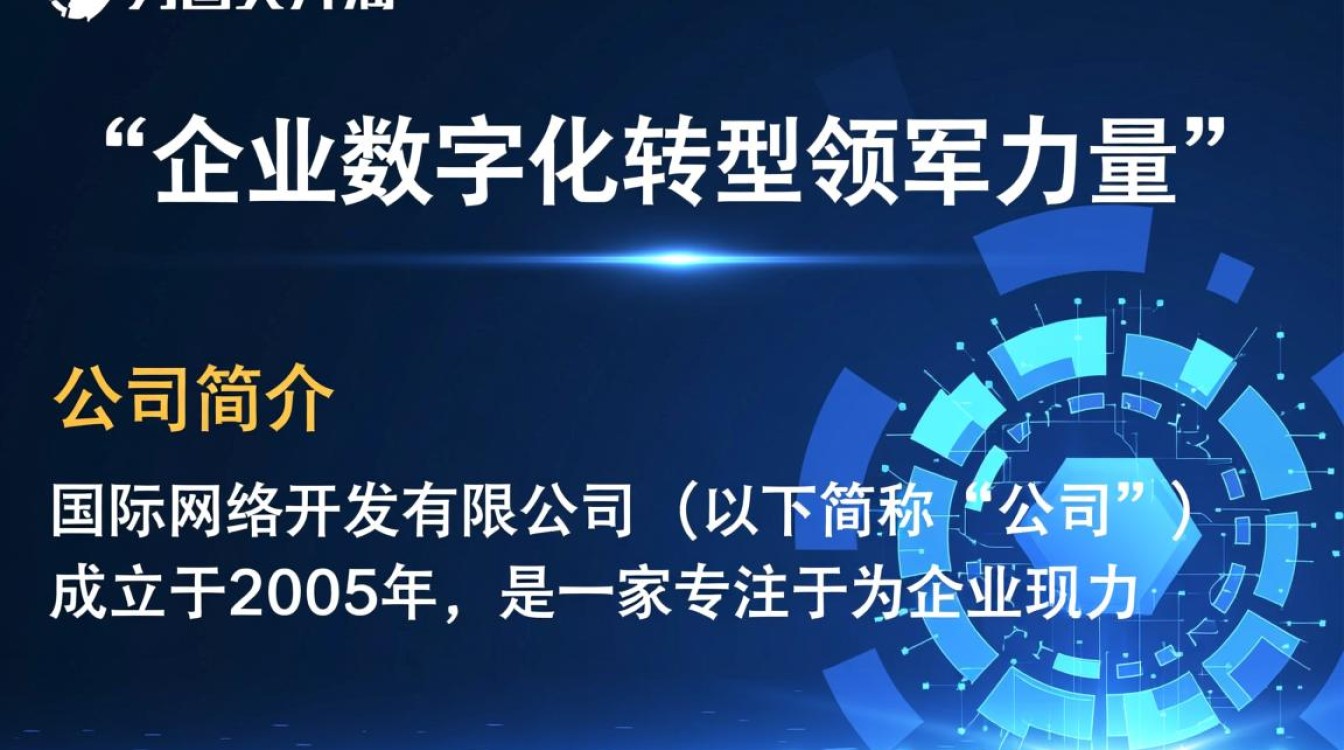 国际网络开发有限公司的商业模式与全球市场策略，为何在竞争激烈中脱颖而出？