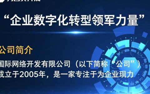 国际网络开发有限公司的商业模式与全球市场策略，为何在竞争激烈中脱颖而出？