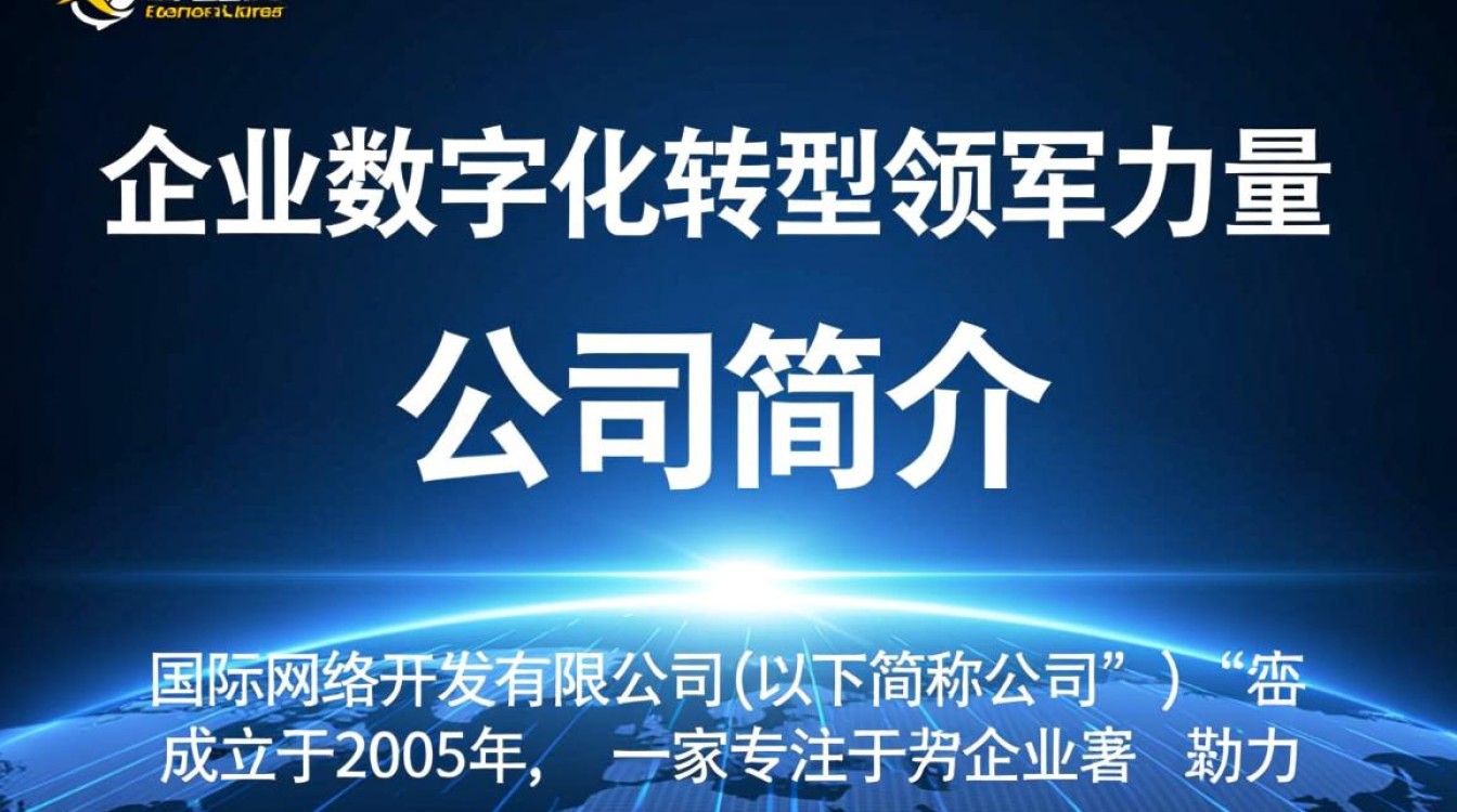 国际网络开发有限公司的商业模式与全球市场策略，为何在竞争激烈中脱颖而出？