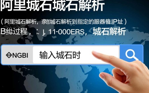 阿里域名解析到服务器，具体操作步骤是什么？解析速度和稳定性如何保证？