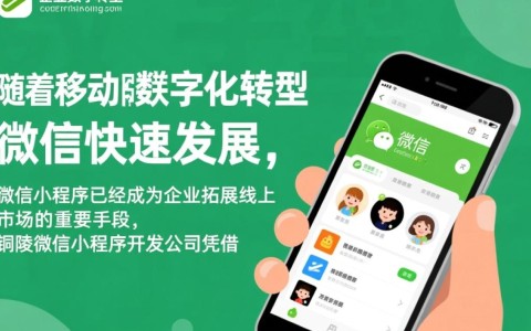 铜陵微信小程序开发公司，如何选择专业可靠的服务商？