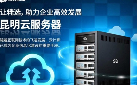 昆明云服务器价格低廉，是否性价比高，值得选择吗？