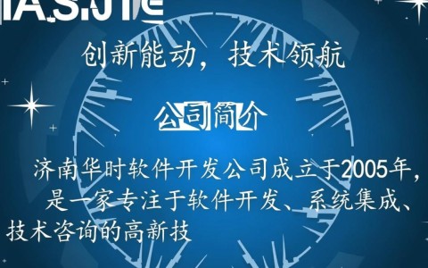 济南华时软件开发公司，其业务范围和市场定位究竟如何？