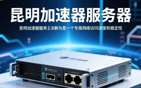 昆明加速器服务器，性能卓越，为何如此受欢迎？揭秘其独特优势！