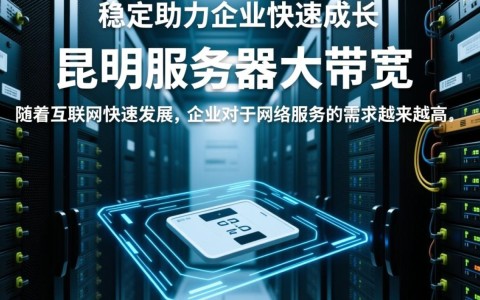 昆明服务器大带宽，价格合理吗？性价比高不高？如何选择？