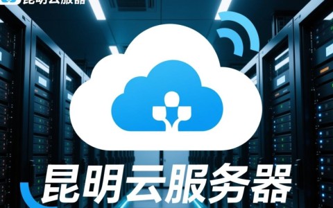 昆明云服务器租用，哪种配置性价比最高？适合企业还是个人？