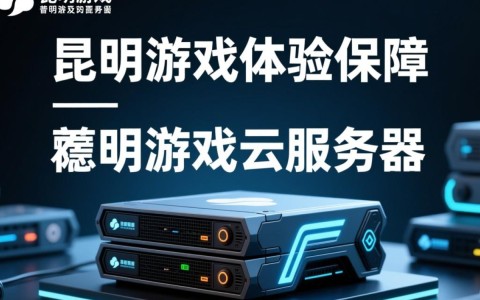 昆明游戏云服务器，哪家服务商性价比更高，性能稳定可靠？