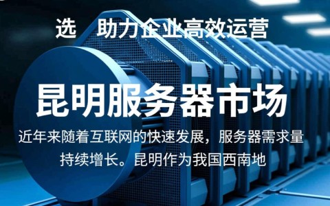 昆明服务器租赁价格为何波动较大？性价比如何权衡？