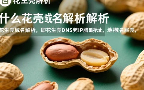 花生壳域名解析究竟在网站运营中扮演着怎样的关键角色？