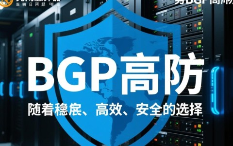 昆明服务器bgp高防，如何确保网络稳定性和安全性？性价比如何？