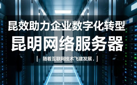 昆明网络服务器性能如何？是否满足企业需求？性价比高吗？